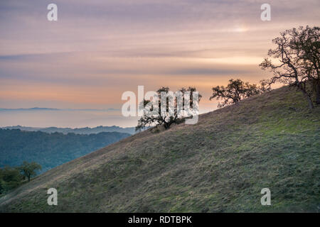 Ciel coucher de soleil coloré dans Henry W. Coe State Park, South San Francisco, Californie Banque D'Images