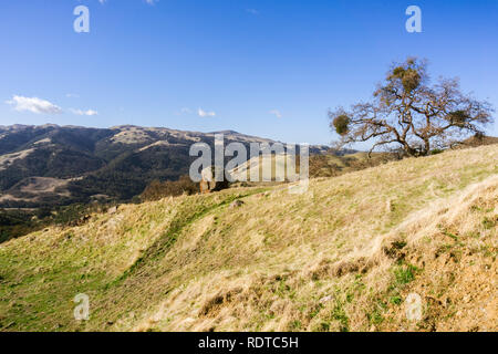 Vue vers le pic de la Mission de Sunol Regional Wilderness, baie de San Francisco, Californie Banque D'Images
