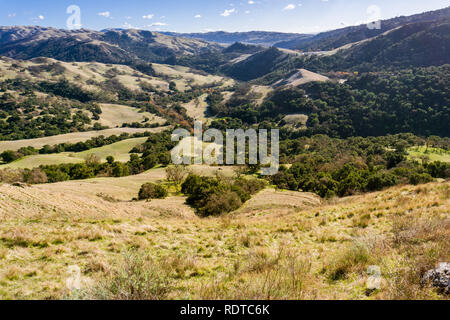 Dans la vallée de Sunol Regional Wilderness, baie de San Francisco, Californie Banque D'Images