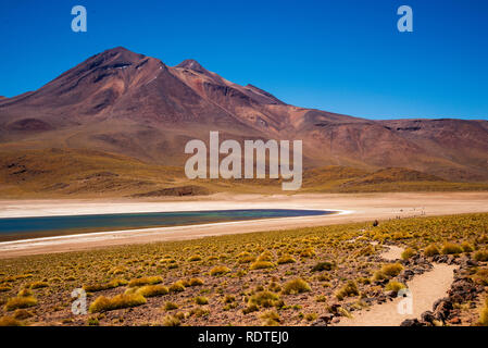 Lacs altiplaniques, Désert d'Atacama, Chili Banque D'Images