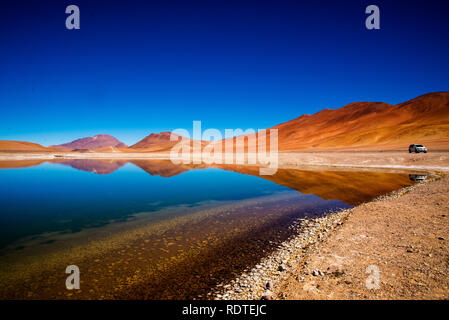 Lacs altiplaniques, Désert d'Atacama, Chili Banque D'Images