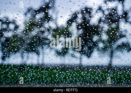 Gouttes de pluie sur la fenêtre, les arbres flous en arrière-plan ; Banque D'Images