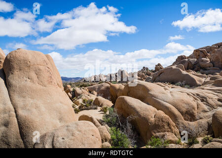 Formations rocheuses dans le parc national Joshua Tree, Californie du sud Banque D'Images