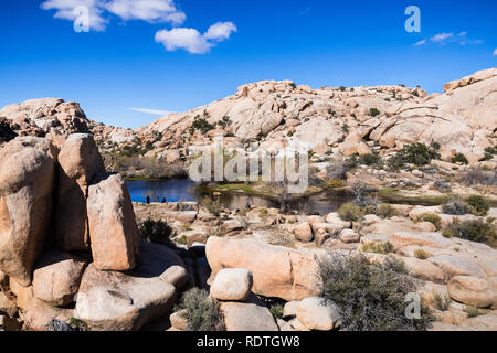 Les formations rocheuses entourant Barker Dam, les touristes se détendre sur le rivage ; le parc national Joshua Tree, Californie Banque D'Images