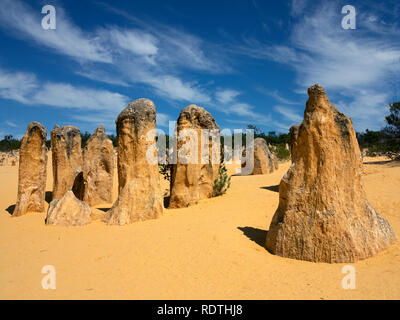 Piliers de calcaire at Ellis (le Parc National de Nambung), l'ouest de l'Australie. Banque D'Images