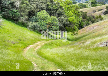 Chemin de randonnée sur les collines de l'ouverture récente du Rancho San Vicente de préserver l'espace ouvert, une partie de Calero County Park, Santa Clara County, au sud de San Francis Banque D'Images