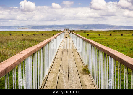 Promenade en bois endommagés sur les marais du sud de la baie de San Francisco, Palo Alto, Californie Parc Baylands Banque D'Images