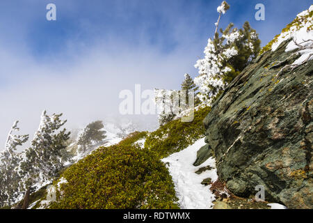 Sentier de randonnée étroit sur les pentes du Mont San Antonio (Mt Baldy) recouvert de neige sur un jour d'hiver ; le brouillard passant de la vallée et en couvrant le ciel Banque D'Images