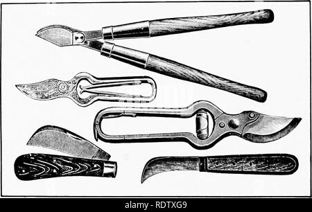 . Horticulture ferme, préparé spécialement pour ceux qui s'intéressent à l'accueil ou de l'horticulture commerciale. Des légumes, des fruits-culture. '&Gt ;*m fig. 62.-Quatre bons types de scies à élaguer.. Fig. &Lt;i3,-S(-'les types d'outils de taille,. Veuillez noter que ces images sont extraites de la page numérisée des images qui peuvent avoir été retouchées numériquement pour plus de lisibilité - coloration et l'aspect de ces illustrations ne peut pas parfaitement ressembler à l'œuvre originale.. Capot, George William, 1886-. Philadelphie, New York, Lea &AMP ; Febiger Banque D'Images