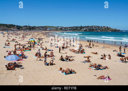 24 décembre 2018, l'Australie Sydney Bondi : aux personnes bénéficiant d'une journée d'été chaud et ensoleillé sur la plage de Bondi à Sydney , Australie Banque D'Images