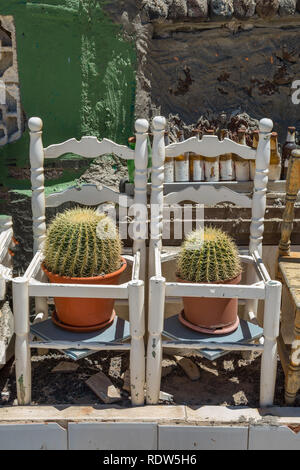 Mère siège deux figues de cactus sur une chaise Banque D'Images