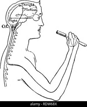 . Problèmes de laboratoire en biologie civique. La biologie. 256 LE CONTRÔLE DU CORPS ET LA FORMATION D'HABITUDES ing pour quelque chose qu'il voulait. Ce serait en quelque sorte une loi sur l'instinc- tive. Pouvez-vous expliquer comment ? Quand vous avez appris à écrire, avez-vous penser à faire les lettres des mots que vous avez écrit ? Avez-vous maintenant ? Comment expliquez-vous la facilité avec laquelle vous écrivez maintenant ? Quelle est la principale différence entre la loi instinctive du bébé l'apprentissage de la marche et l'acte d'écrire ? Pensons-nous à propos de l'écriture maintenant ? Nous n'y penser lorsque nous avons commencé à apprendre ? Un acte répété de nombreuses fois consciemment devient éventuellement un habi Banque D'Images