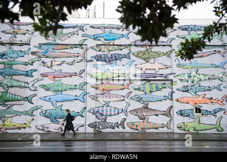 Le Street art est abondant sur les rues du centre-ville de Wellington sur l'île Nord de la Nouvelle-Zélande. Banque D'Images