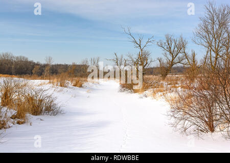 Le ruisseau couvert de neige dans les collines de Moraine State Park dans l'Illinois Banque D'Images