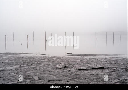 Everett waterfront pilots dans la zone industrielle de brouillard à marée basse Banque D'Images
