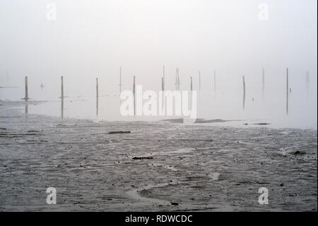 Everett waterfront pilots dans la zone industrielle de brouillard à marée basse Banque D'Images