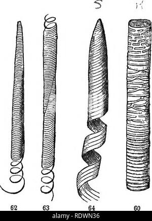 . Introduction à la botanique systématique et structurel, et la physiologie végétale. La botanique. Le tissu vasculaire. 47. lieux que le reste du mur. Ce sont des cellules allongées, ou tubes formée par la confluence de plusieurs cellules en une seule, avec la délicate fortifiées de la déposition sur leur surface interne de ma- terial supplémentaires, dans la foi-m de bandes, parfois ramifiée et formant le réseau (Re- ticulated) conduit, comme dans le milieu de la Fig. 60, ou des joints toriques (le conduit annulaire), comme dans le milieu de la Fig. 61, ou d'un service continu de spi- ral thread (Fig. 62, 63), ou un certain nombre de ces threads ^ (Fig. 6 Banque D'Images