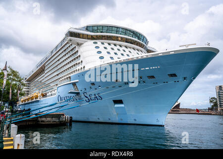 23 novembre 2018, Sydney NSW Australie : vue avant d'Ovation de la mer sur des navires de croisière à Circular Quay à Sydney Australie Banque D'Images