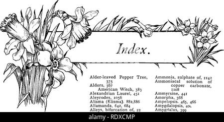 . Le Livre de jardinage ; un manuel d'horticulture. Jardinage, Horticulture. Arbre généalogique Abele, Abeiia 398, 363, 467 escalade Abies, 480, 502, 521, 511, pleurant Douglasii 473 couches au-dessus du sol, 933 Abraxas, 997, 187, 706 l'Abutilon, 756, 187 Acacia Rose, 409, 385 Trois thorned Le, 663, 290 Acantholimon Acanthopanax, Acanthophcenix 364, 812, 812 Acanthorhiza Acanthus^ 892 Acers, pleurant, 364 477, 264, 290 Achillea Achimenes, 641, 737, 592, Acineta Aconit d'hiver, 374 Aconitum, 264, 886 de l'Actinidia, l'Acorus 466 Adamsia, 347 455 Adam's Needle, Adonis, 215, 290, 641. Mchraea 577 ^Eschynant Aerides, Banque D'Images
