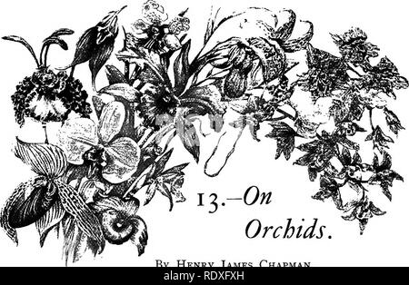 . Le Livre de jardinage ; un manuel d'horticulture. Jardinage, Horticulture. Par Henry James Chapman. Il n'y a pas de succursale du jardinage qui a fait des progrès plus rapides au cours du dernier demi-siècle que la culture des orchidées. Avec le passage de navires à vapeur facilité offerte par l'époque actuelle, ces joyaux de la forêt peut être traduit en autant de jours qu'il était à prendre des mois ; et, par les moyens à disposition, une fois qu'ils arrivent dans ce pays, ils sont apportés à la pratique portes de nos serres pour une dépense de moins de shillings qu'il en aurait coûté de livres il y a quelques années. Cet incr Banque D'Images