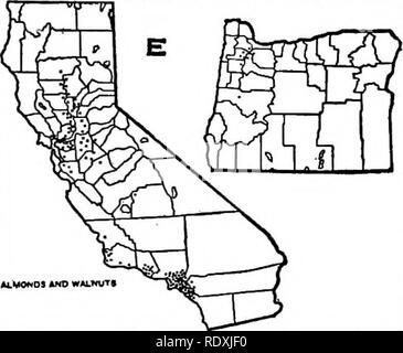 . L'horticulture ; un manuel pour les écoles secondaires et normales. Jardinage ; légumes ; fruits-culture. Amandes ET NOIX* w53§ ?^J$aZJ&lt;L/ /-{$tl- jT j "TTTF" L tVOOCT ^^^^^^^F |wi4 V-JL"^V/'7 : :^^3|-*-TL - .. " :" }J-r Si ? M^^^^^&amp;S^^^er ORANGES f K .^^•' Fig. 194.-cartes montrant les arbres du roulement et moins. Chaque point est de 100 hectares d'arbres, à l'exception de D pour 50 acres et E pour 500 acres. Les citrons sont produits principalement dans le sud de la Californie, où la plupart des cultures sont cultivées le long des contreforts sur le côté ouest de la chaîne Côtière. Limes dans le United States Banque D'Images