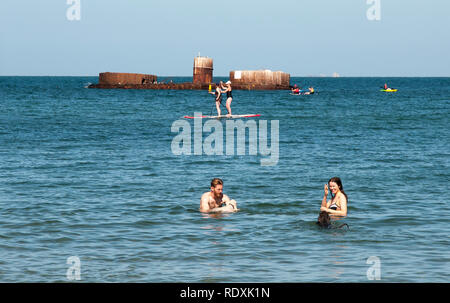 La natation de personnes de l'épave historique de Cerberus HMVS à Half Moon Bay sur la baie de Port Phillip, Melbourne, Australie Banque D'Images