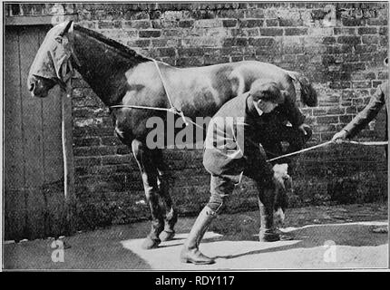 . Les maladies du pied du cheval . Sabots ; chevaux. OPEEATIONS SUR LE PIED 79 W# -^ : Fig. 40.-La ligne de touche à l'sbodring préparatoire ajusté près de Hind-pied.. Fig. 41.-la près de Hind pieds fixé à l'aide de la ligne de touche.. Veuillez noter que ces images sont extraites de la page numérisée des images qui peuvent avoir été retouchées numériquement pour plus de lisibilité - coloration et l'aspect de ces illustrations ne peut pas parfaitement ressembler à l'œuvre originale.. Reeks, H. Caulton. Chicago : Alex. Eger Banque D'Images