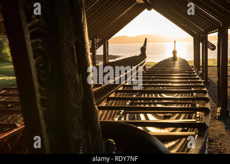 Le Waka (canoë) chambre détient plusieurs pirogues de guerre de cérémonie (waka taua) y compris les plus grands, un Ngatokimatawhaorua. Le site du Traité de Waitangi est t Banque D'Images