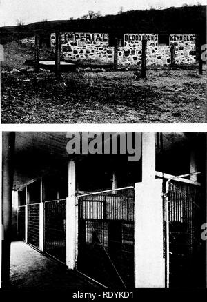 . Le chien d'adresses. Une histoire populaire du chien, avec des informations pratiques pour les soins et la gestion de la chambre, chenil, les chiens et d'exposition ; et la description des races importantes. Les chiens. Protégés sur le mauvais temps côte à beine intégré dans une banque qui rc.iches à l'arrière avant-toit. Un exceedinj^ly cool confortable keji en hiver, avec le couchage couvert cases, comme montré dans la vue intérieure cl en été et DR. KNOX'S KENNELS BLOODHOUND À DANBURY, CONN.. Veuillez noter que ces images sont extraites de la page numérisée des images qui peuvent avoir été retouchées numériquement pour plus de lisibilité - une coloration Banque D'Images