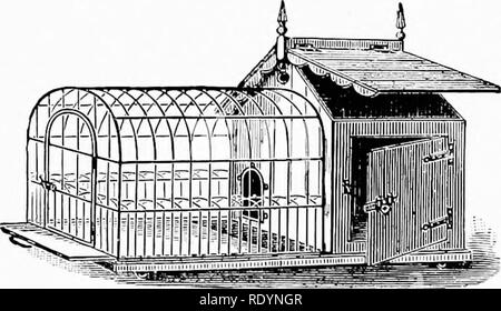 . Le nouveau livre du chien ; une histoire naturelle de la les chiens et leurs parents à l'étranger, avec des chapitres sur le droit, la reproduction, l'élevage, de gestion et de traitement vétérinaire. Les chiens. Gestion de la pratique. Il y a génération 573. Une meilleure connaissance a beaucoup fait pour accroître la fierté que le peuple britannique prendre dans leur com- panions canine, et notre population actuelle d'ckigs ne'er a été égalé pour bon c]ualitv dans anv autres âge ou un autre terrain)'. Le débutant ne peut pas facilement se tromper ou être gravement trompé, mais il est bien ^hen faire un premier achat, pour suivre les conseils d'un ex Banque D'Images