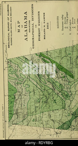 . Botanique économique de l'Alabama. La botanique, économique ; les forêts et la foresterie. . Veuillez noter que ces images sont extraites de la page numérisée des images qui peuvent avoir été retouchées numériquement pour plus de lisibilité - coloration et l'aspect de ces illustrations ne peut pas parfaitement ressembler à l'œuvre originale.. Harper, Roland McMillan, 1878-1966. L'université, Ala. Banque D'Images