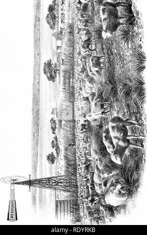 . Rapport spécial sur l'histoire et l'état actuel de l'industrie du mouton de l'United States . Les ovins ; 1892. W. o. Veuillez noter que ces images sont extraites de la page numérisée des images qui peuvent avoir été retouchées numériquement pour plus de lisibilité - coloration et l'aspect de ces illustrations ne peut pas parfaitement ressembler à l'œuvre originale.. United States. Bureau of Animal Industry ; Saumon, D. E ; Carman, Ezra Ayers, 1834-1909 ; Heath, Hubert A. , 1857- ; Minto, John, 1822-1915 ; DuBois, C. sgn ; Poissons, Pierre A. (Pierre Augustin), 1865-1931 ; sgn. L'Université de Cornell. College of Veterinary Medicine. Flow Banque D'Images