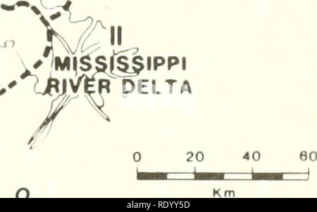 . L'écologie des marais du delta de la Louisiane côtière : un profil communautaire. L'écologie des marais -- la Louisiane ; les zones humides -- la Louisiane. FT ,^non,, :,... J'PONTCHARTRAINj^ ^lA h, 4 ; '-^^^j RR BO^^^ Nrft.J S G(/tF DU MEXIQUE. La figure 5. Carte de la plaine deltaïque de la rivière Mississippi montrant les unités hydrologiques, coll. 1983). Ces données et les cartes sont d'une récente étude du Service de la pêche et de la faune du delta du Mississippi Plain Région (Wicker, 1980 ; Wicker et al. 1980a, 1980b). Les bassins de drainage des bassins sont interdistributary formé par des changements dans les principaux effluents de la rivière. Ainsi ils forni une série chronologique de delta Banque D'Images