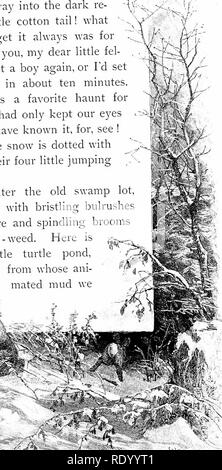 . Journées pastorales ; ou, Souvenirs d'un an de la Nouvelle Angleterre. L'histoire naturelle. ' Qui S QUE. Veuillez noter que ces images sont extraites de la page numérisée des images qui peuvent avoir été retouchées numériquement pour plus de lisibilité - coloration et l'aspect de ces illustrations ne peut pas parfaitement ressembler à l'œuvre originale.. Gibson, W. Hamilton (Hamilton), 1850-1896, William. New York, Harper & Brothers. Banque D'Images