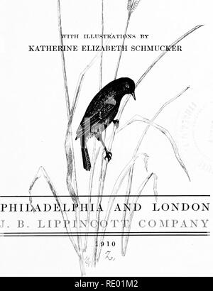 . En vertu de l'open sky ; être d'un an avec la nature. L'histoire naturelle. Dans le cadre de T&amp;m OPEN SKY est un YEARWITIf^CHRIS SAMUEL NATURE Par TIANf^CHMUCKER KATHEMNE SCIIMUC ELIZABETH. Veuillez noter que ces images sont extraites de la page numérisée des images qui peuvent avoir été retouchées numériquement pour plus de lisibilité - coloration et l'aspect de ces illustrations ne peut pas parfaitement ressembler à l'œuvre originale.. Schmucker, Samuel Christian, b. 1860. Philadelphie et Londres, J. B. Lippincott Company Banque D'Images