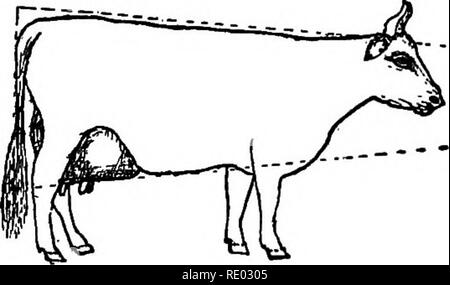 . L'étude de la nature et de l'agriculture. L'étude de la nature ; l'Agriculture. Chapitre XXXII Le bétail bovin de plus en plus est l'une des branches les plus importantes de l'agriculture, bien qu'il y a des sections du pays qui n'accordent pas autant d'attention à ce que l'intérêt supérieur de l'agri- culture de la demande. Il y a beaucoup de différentes races de bovins, chacune possédant ses propres caractéristiques. Ils peuvent être divisés en deux grandes classes, - les races de vaches laitières et les races de boucherie. Chacune de ces tj^es est particulièrement adapté à l'objet indiqué par le nom, et les deux types sont si largement différents qu'il est imposs Banque D'Images