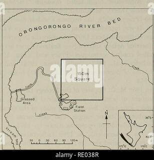 . L'écologie des folivores arboricole : un colloque organisé au Centre de recherche et de conservation, National Zoological Park, Smithsonian Institution, du 29 au 31 mai 1975. Folivores ; Écologie forestière ; les feuilles, les Mammifères Les mammifères. Beaucoup de plaines boisées occupées par des opossums en Nouvelle-Zélande (Batcheler et al., 1967). La radiotélémétrie est particulièrement utile pour l'étude de l'opossum, qui est essentiellement nocturne et arboricole. Cet article décrit les résultats de radiotracking opossums 4 pour 2 ans à partir de septembre 1970 à août 1972. Une comparaison de l'accueil de ces un- imals, déterminée par le suivi et par liv Banque D'Images
