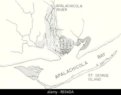 . L'écologie de la Baie d'Apalachicola système : un profil de l'estuaire. Écologie estuarienne -- Baie d'Apalachicola en Floride ; la conservation des zones estuariennes -- en Floride. programmes d'études et de formation dans le système d'écoles secondaires du comté de Franklin. Un groupe de films éducatifs sur l'Apalachicola système de drainage a été développé pour afficher l'ensemble de la vallée. L'interaction étroite de la recherche aquatique avec des éléments locaux et régionaux a été l'une des clés de la réussite d'un programme de gestion de l'effort se fera l'égide de l'Apalachicola Sanctuaire estuariennes si mode efficace d'administr Banque D'Images