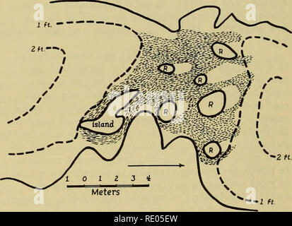 . L'écologie des algues : un colloque organisé au laboratoire de biologie Pymatuning Domaine les 18 et 19 juin 1959. Les algues ; écologie végétale. D'autres sur le profil de flux de déterminer les lois de distribution de la population animale. Les radiers ou hauts fonds réalisent fréquemment le plus grand volume d'eau sur en passant d'un côté de la rivière, de sorte que l'érosion est plus grande d'abord contre la rive droite puis contre la gauche. Ce modèle métrique asym- résultats dans la distribution asymétrique du benthos biocoenoses des piscines, avec une interruption de continuité au niveau de chaque fusil . Ulot Banque D'Images