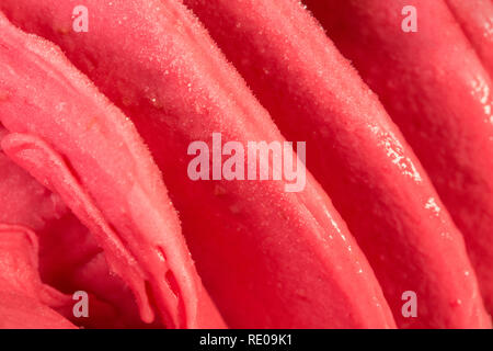 Melon sorbet à saveur de cerise de la texture pour votre projet. Banque D'Images