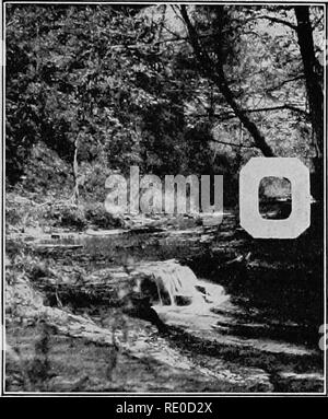 . La vie d'eaux intérieures ; une école primaire du texte livre de biologie d'eau pour les étudiants américains. Biologie des eaux douces. L'EAU ET LE SOL de la terre sont CEANS grand magasin de l'eau. Ils couvrent environ huit- elevenths de la surface de la terre à une profondeur moyenne d'environ deux milles. Ils reçoivent les flux hors de tous les continents et le renvoyer par la voie de l'atmosphère. Les eaux fraîches de la terre descendre dans la première instance de l'atmosphère. Ils s'élèvent dans les vapeurs de l'ensemble de la surface de la terre, mais principalement de l'océan. Le libère de l'évaporation de l'océan, ces sels d'être Banque D'Images