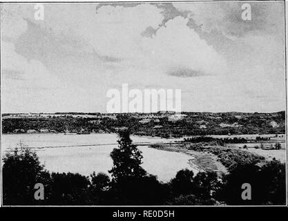 . La vie d'eaux intérieures ; une école primaire du texte livre de biologie d'eau pour les étudiants américains. Biologie des eaux douces. Au printemps. Les conditions d'été sur le. Veuillez noter que ces images sont extraites de la page numérisée des images qui peuvent avoir été retouchées numériquement pour plus de lisibilité - coloration et l'aspect de ces illustrations ne peut pas parfaitement ressembler à l'œuvre originale.. Needham, James G. (James George), 1868-1956 ; Lloyd, John Thomas, 1884- coauteur. Ithaca,N. Y. , Le Comstock Publishing Company Banque D'Images