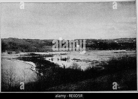 . La vie d'eaux intérieures ; une école primaire du texte livre de biologie d'eau pour les étudiants américains. Biologie des eaux douces. Au printemps. Veuillez noter que ces images sont extraites de la page numérisée des images qui peuvent avoir été retouchées numériquement pour plus de lisibilité - coloration et l'aspect de ces illustrations ne peut pas parfaitement ressembler à l'œuvre originale.. Needham, James G. (James George), 1868-1956 ; Lloyd, John Thomas, 1884- coauteur. Ithaca,N. Y. , Le Comstock Publishing Company Banque D'Images