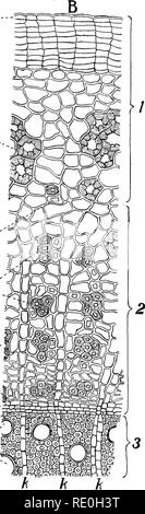 . Les méthodes bactériologiques dans les aliments et drogues laboratoires : avec une introduction aux micro-méthodes analytiques . Bactériologie ; alimentation ; les drogues. -M /'- : : 9 k j'iwslvS ix/'-J^^^j v j-^-^. Fig. 21. Veuillez noter que ces images sont extraites de la page numérisée des images qui peuvent avoir été retouchées numériquement pour plus de lisibilité - coloration et l'aspect de ces illustrations ne peut pas parfaitement ressembler à l'œuvre originale.. Schneider, Albert, 1863-1928. Philadelphia : P. Fils de Blakiston &AMP ; Co. Banque D'Images