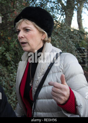 Le député conservateur Anna Soubry ayant besoin d'une escorte de police comme il est harangué par les manifestants de droite portant des tabards HiViz devant les maisons du Parlement, Westminster. Avec : Anna Soubry MP Où : London, Royaume-Uni Quand : 19 Déc 2018 Crédit : Wheatley/WENN Banque D'Images