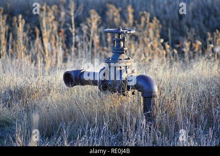 Tuyau d'irrigation rouillée abandonnée au milieu de nulle part contre les hautes herbes dans le porte-bébé Randonnée pédestre Sentier de Carolyn Holmberg préserver à Broomfield Col Banque D'Images