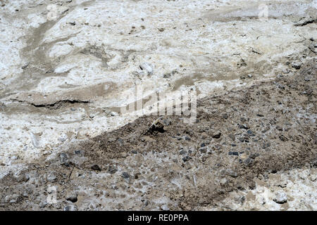 Terre de sel sec Creek trail. Death Valley National Park, California, USA Banque D'Images