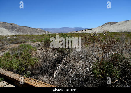 Sentier du sel dans la région de Death Valley National Park, California, USA Banque D'Images