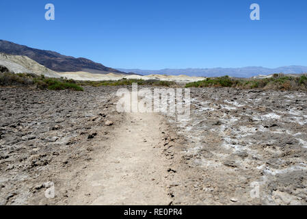 Sentier du sel dans la région de Death Valley National Park, California, USA Banque D'Images