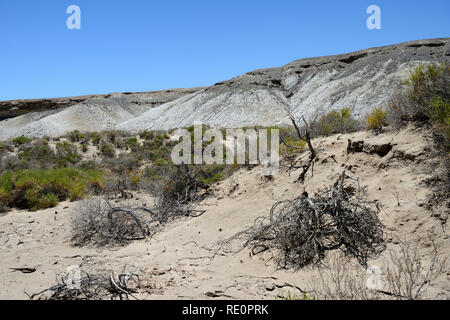 Sentier du sel dans la région de Death Valley National Park, California, USA Banque D'Images